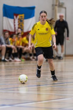 Bild 574 - wBJ NFV Futsalmeisterschaft